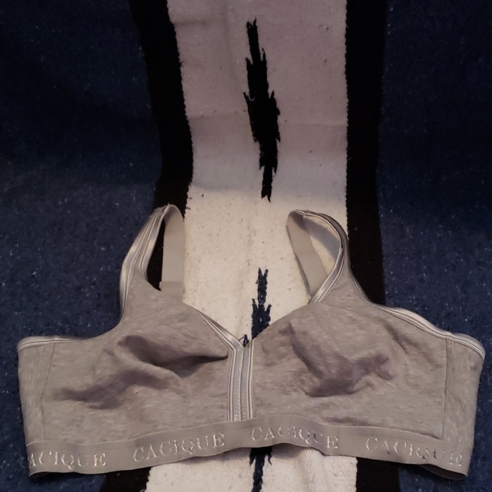 Lane Bryant sports bra 44DD